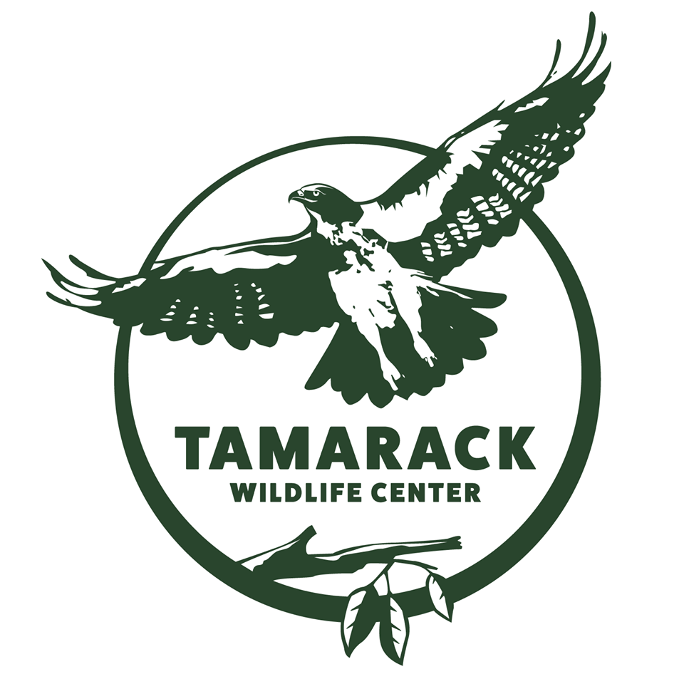 Tamarack Wildlife Vendor and Craft Show